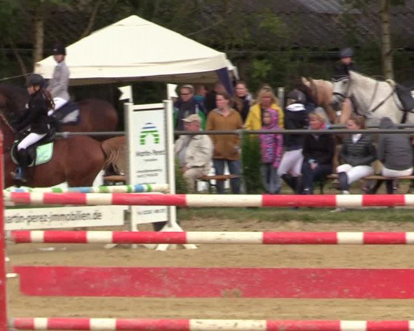 Reitturnier Bühren-Breckerfeld 2018