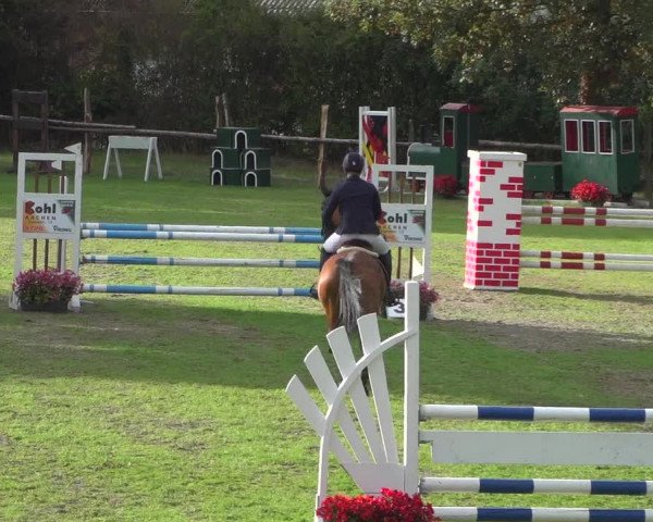 Reitturnier Würselen-Pley 2018