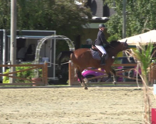 Reitturnier Köln - Reitanlage Brüse 2018