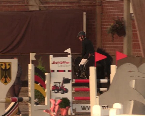 Reitturnier Hüllhorst 2018