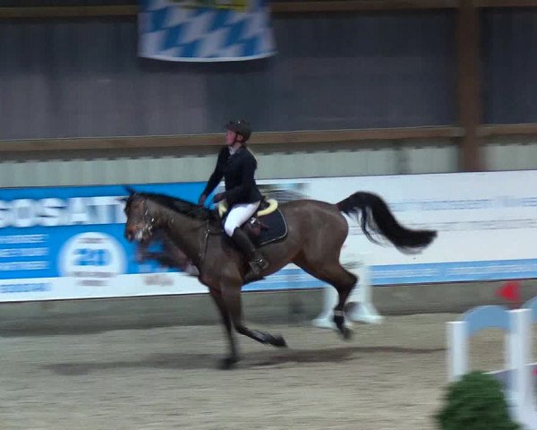 Nordic Jumping events 2019