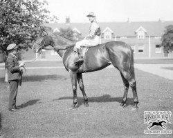 broodmare Beam xx (Thoroughbred, 1924, from Galloper Light xx)