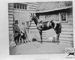 stallion Beadsman xx (Thoroughbred, 1855, from Weatherbit xx)