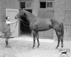 stallion Bala Hissar xx (Thoroughbred, 1933, from Blandford xx)