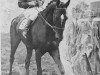 horse Bahram xx (Thoroughbred, 1932, from Blandford xx)