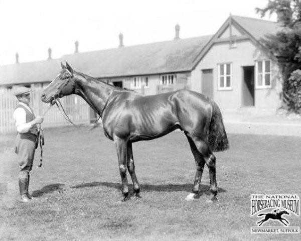 horse Athford xx (Thoroughbred, 1925, from Blandford xx)