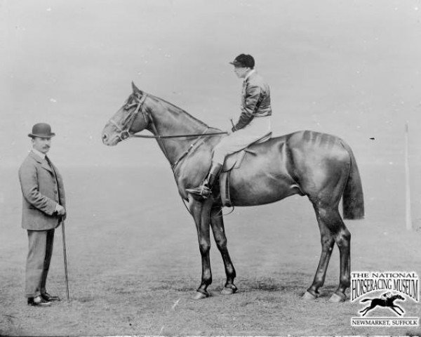 horse Ambush II xx (Thoroughbred, 1894, from Ben Battle xx)