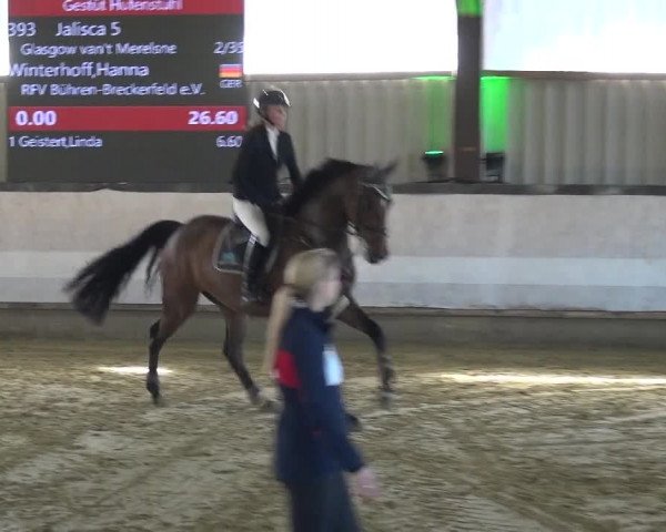 Reitturnier Lindlar-Süttenbach 2019