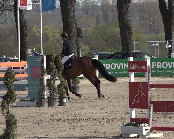 Reitturnier Werne-Lenklar 2019