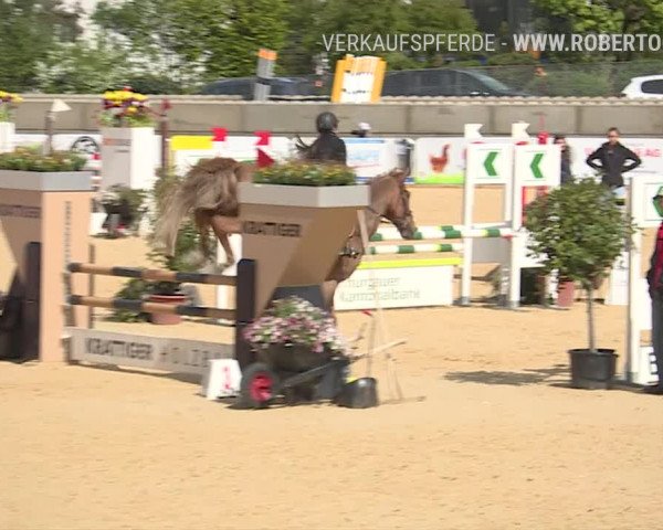 Osterspringen Amriswil 2019