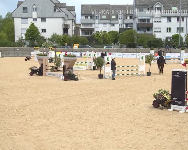 Osterspringen Amriswil 2019