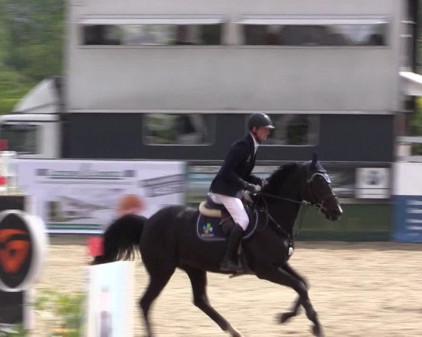 Reitturnier Langwedel - Hagen - Grinden 2019