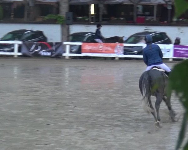 Reitturnier Köln-Seeberg 2019