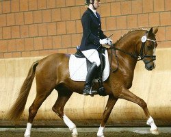 dressage horse Mac (German Riding Pony, 2006, from FS Don't Worry)