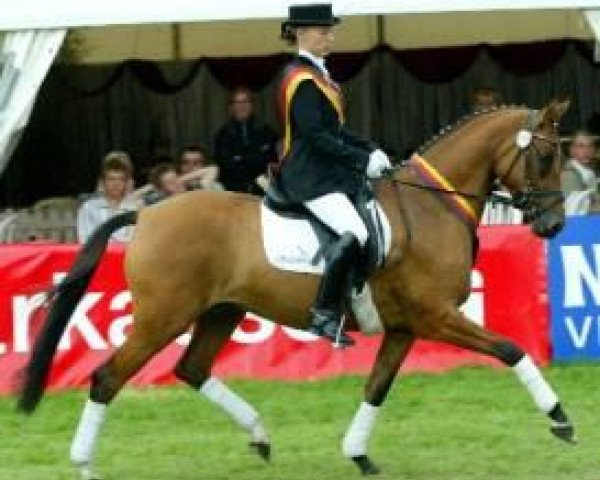 dressage horse Hb Dreamgirl (German Warmblood, 2000, from FS Don't Worry)