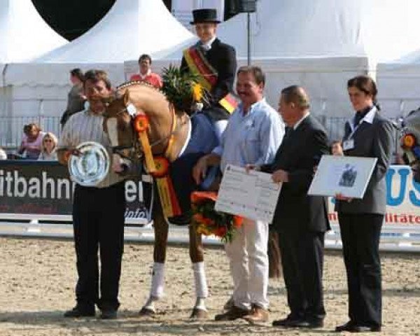 stallion FS Don't Worry Junior (German Riding Pony, 2002, from FS Don't Worry)