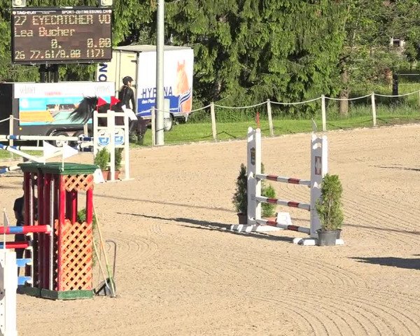 Reitturnier Fehraltorf 2019