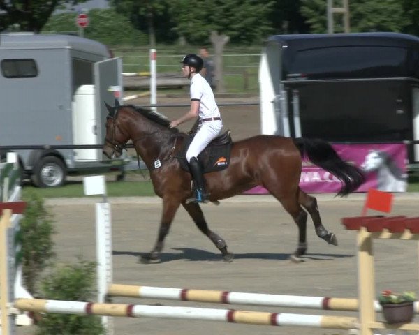 Reitturnier Hamm-Rhynern 2019
