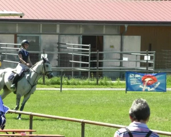 Reitturnier Leingarten 2019