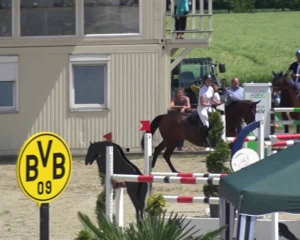 Reitturnier Kirchhellen/Stall Dieckmann 2019