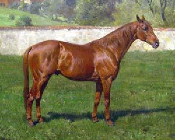 stallion Blagueur xx (Thoroughbred, 1905, from Raconteur xx)