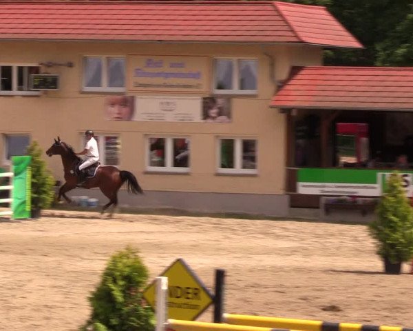 Reitturnier Lgl.-Oberhain, B95 2019