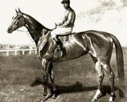 broodmare Patience xx (Thoroughbred, 1902, from Bona Vista xx)