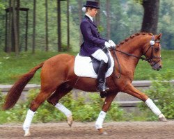 Deckhengst Dance of Joy W (Deutsches Reitpony, 2000, von FS Don't Worry)