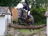 stallion Bodethal's Dancer Hit III (German Riding Pony, 2008, from Arts-Dancer-Boy)