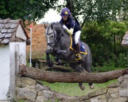 stallion Bodethal's Dancer Hit III (German Riding Pony, 2008, from Arts-Dancer-Boy)