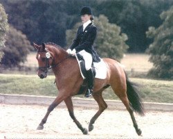 broodmare Naturell (German Riding Pony, 1995, from Nantano)