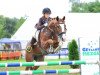 jumper Campino 309 (German Riding Pony, 2000, from FS Challenger)