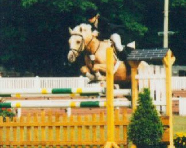 broodmare Shagana (German Riding Pony, 1986, from Alexander)
