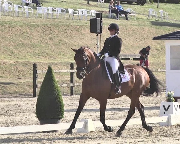 FEI Reitturnier Leudelange (LUX) 2019