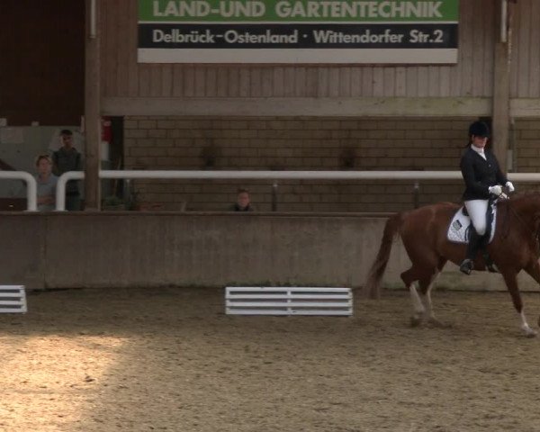 Reitturnier Delbrück-Ostenland 2019