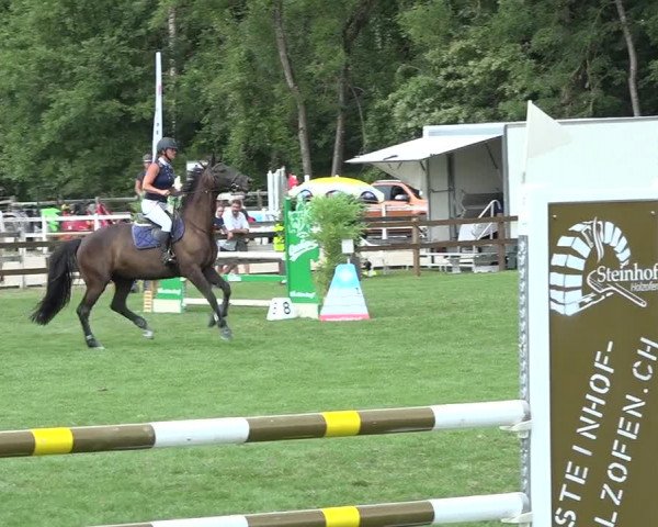 Reitturnier Kappelen-Lyss 2019