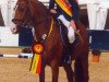 jumper Fs Companiero (German Riding Pony, 2003, from FS Champion de Luxe)