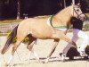 dressage horse Fs Cascada (German Riding Pony, 2006, from FS Champion de Luxe)