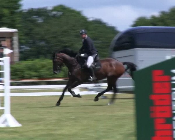 Reitturnier Heide 2019
