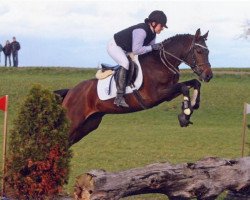 Deckhengst Fehkamp's Coestelin (Deutsches Reitpony, 2004, von FS Champion de Luxe)