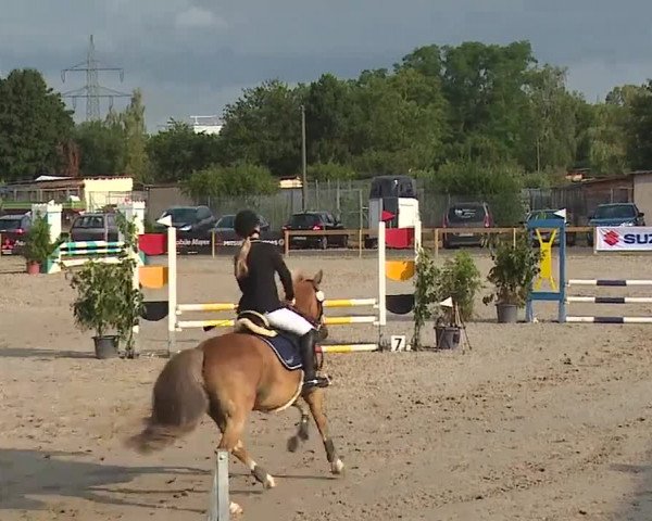 Reitturnier Kleinostheim/Ufr. 2019
