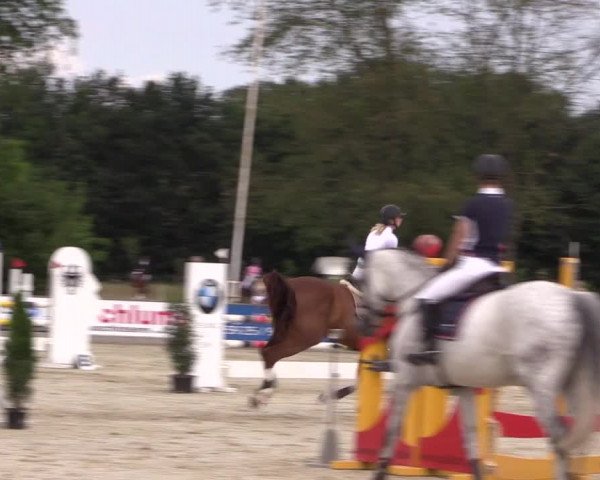 Reitturnier Wietmarschen 2019