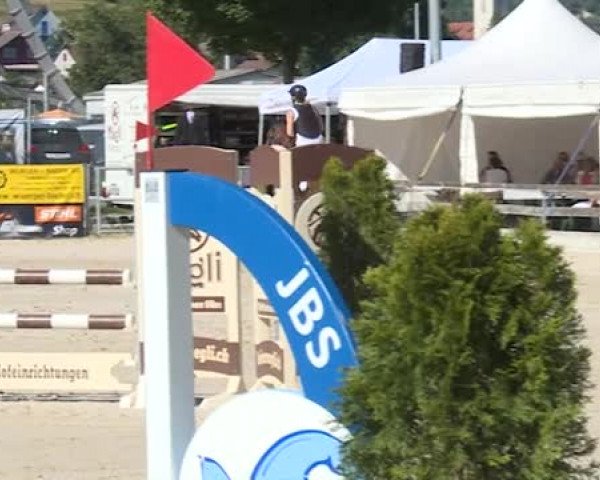 Reitturnier Balsthal 2019