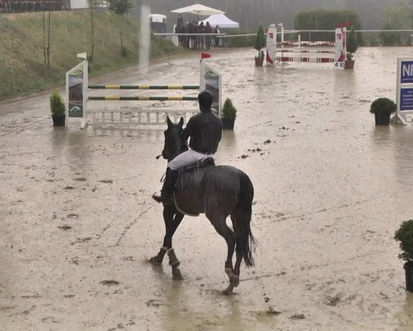 Reitturnier Püttlingen 2019