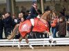 dressage horse Divano du Bois (Nederlands Rijpaarden en Pony, 2004, from Dornik B)