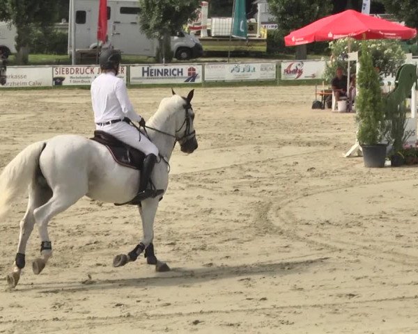 Reitturnier Oberderdingen 2019