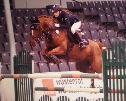 jumper Feuertanz M (Trakehner, 2003, from Sedar)