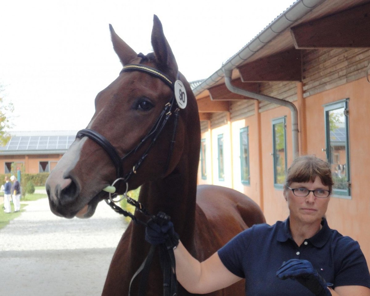 broodmare Wyona BS (Bavarian, 2009, from Cantando)