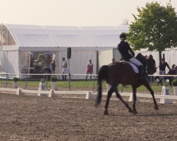 Reitturnier Heinsberg 2019