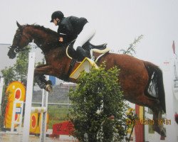 jumper Amonty Jane (Czech Warmblood, 1998, from Etalon)